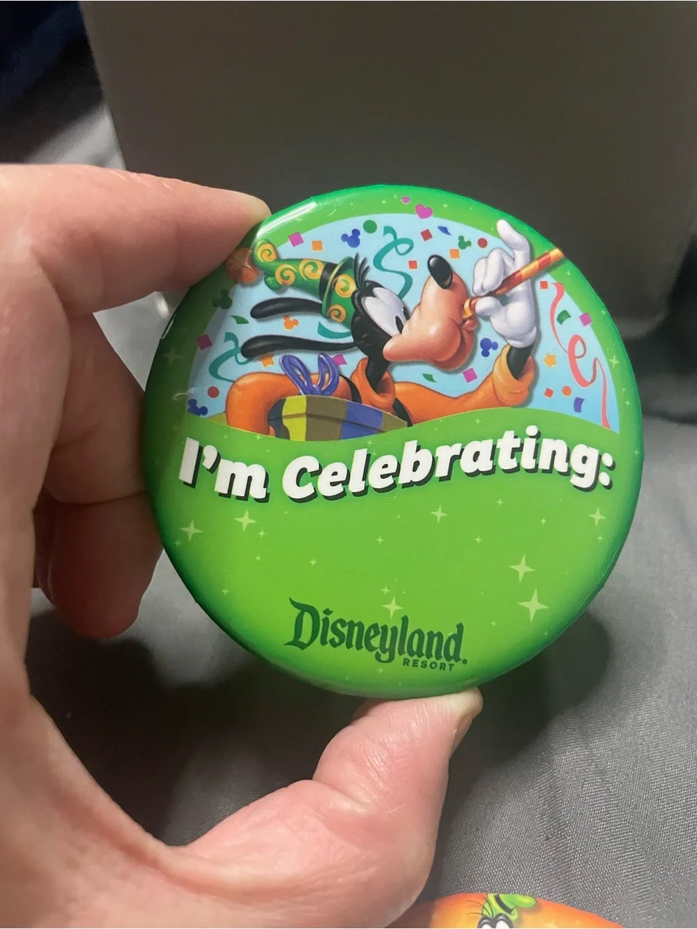 Disney disneyland visitors